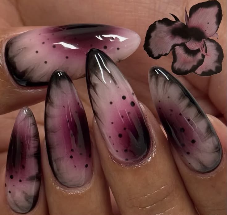 Smoked Phalaenopsis